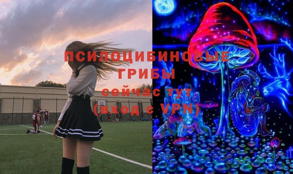 дурь Алексеевка
